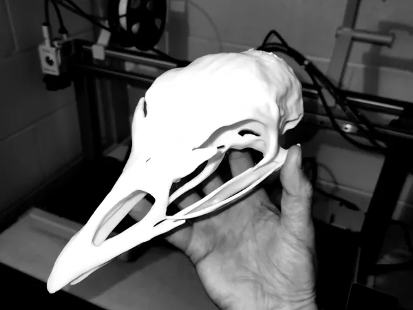 https://makerworld.bblmw.com/makerworld/model/US2a072a21509654/design/2025-01-19_71798073b202f.jpg