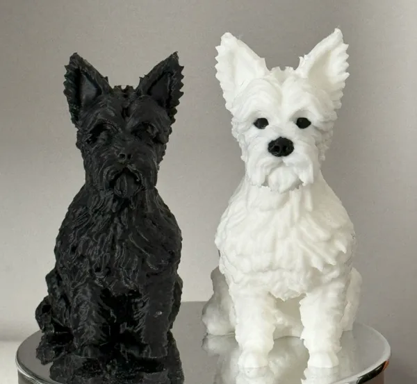 https://makerworld.bblmw.com/makerworld/model/US2a080d529b5ea2/design/2024-11-05_16ef1a7903ff1.jpg