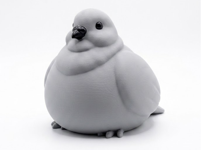 Paloma Obesa