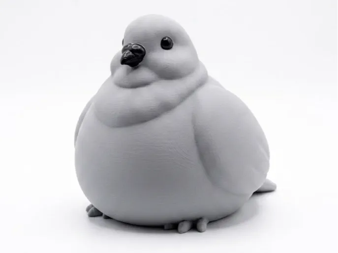 Paloma Obesa