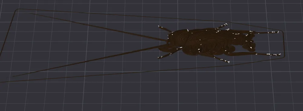 Real Bug - Cockroach - Free 3D Print Model - MakerWorld