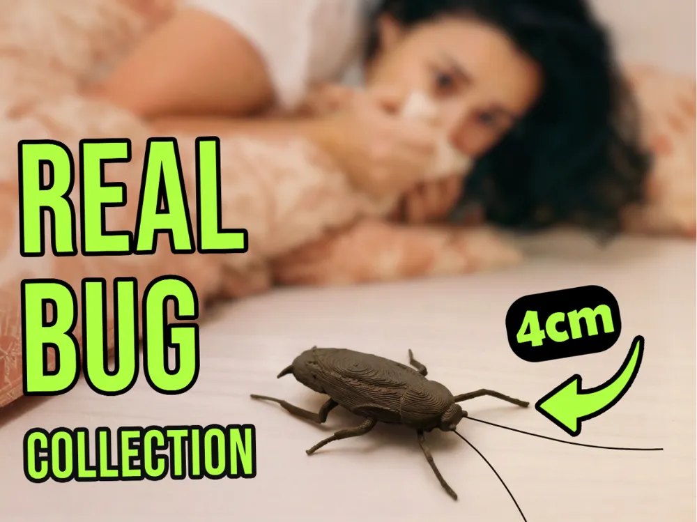 Real Bug - Cockroach - Free 3D Print Model - MakerWorld