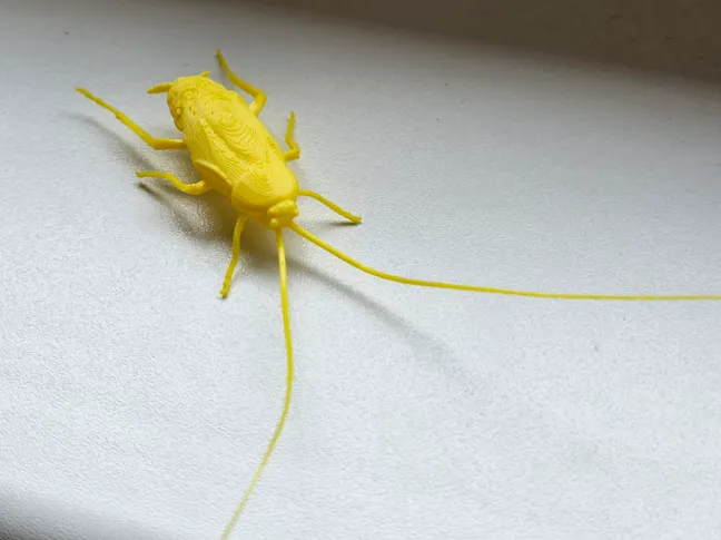 Real Bug - Cockroach - Free 3D Print Model - MakerWorld