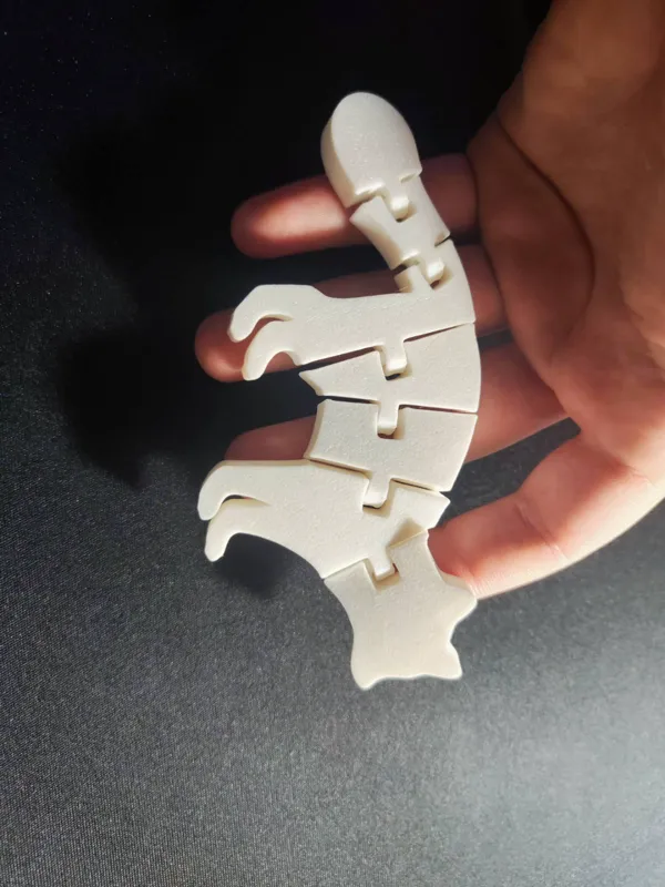https://makerworld.bblmw.com/makerworld/model/US2a0d9214893221/design/2024-03-25_87ca014711652.jpg