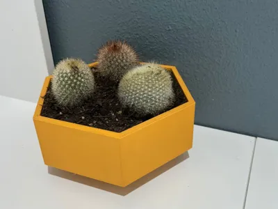 Geometric Hexagonal Plant Pot