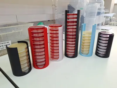 Petri dish holder