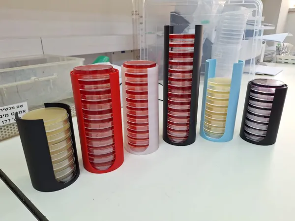 https://makerworld.bblmw.com/makerworld/model/US2a126b798b4da2/design/2025-08-27_728829652377e8.jpg