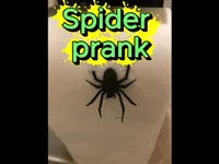 This is the same spider you see in the model picture.