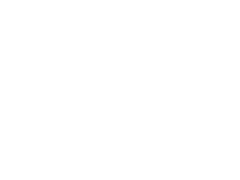 Auffahrkeile / access ramp