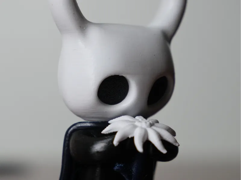 Hollow Knight holding Delicate Flower