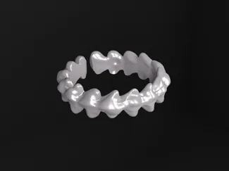 Bone Ring – Organic Style Jewelry Design Few Sizes