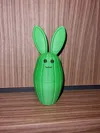 2 colori 0.2mm layer, 2 walls, 15% infill 