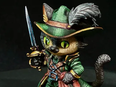 Swashbuckler cat