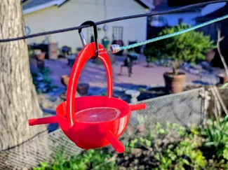 Bird feeder for Orange half
