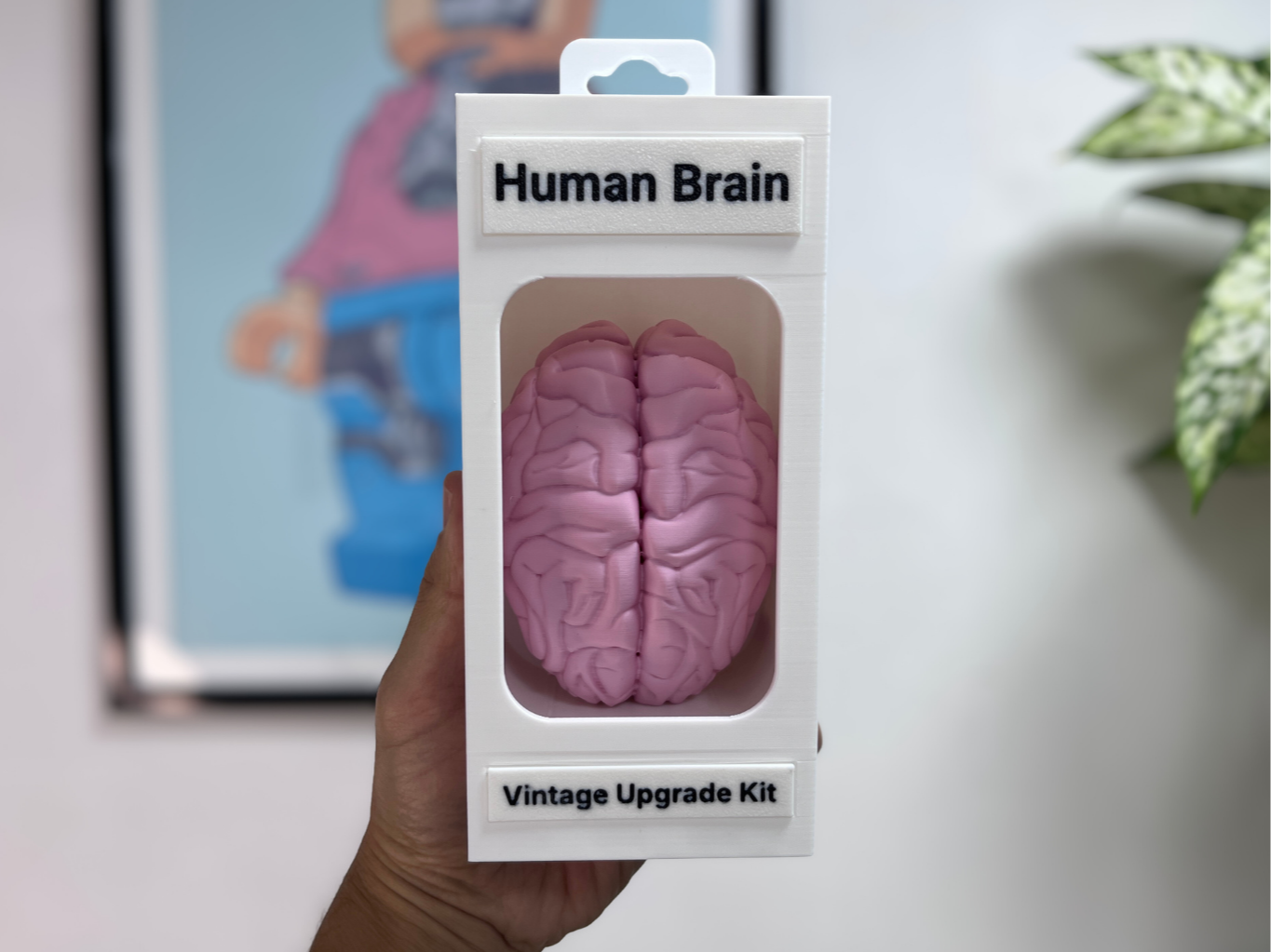 Vintage Upgrade Kit: Human Brain (Funny Gag Gift)