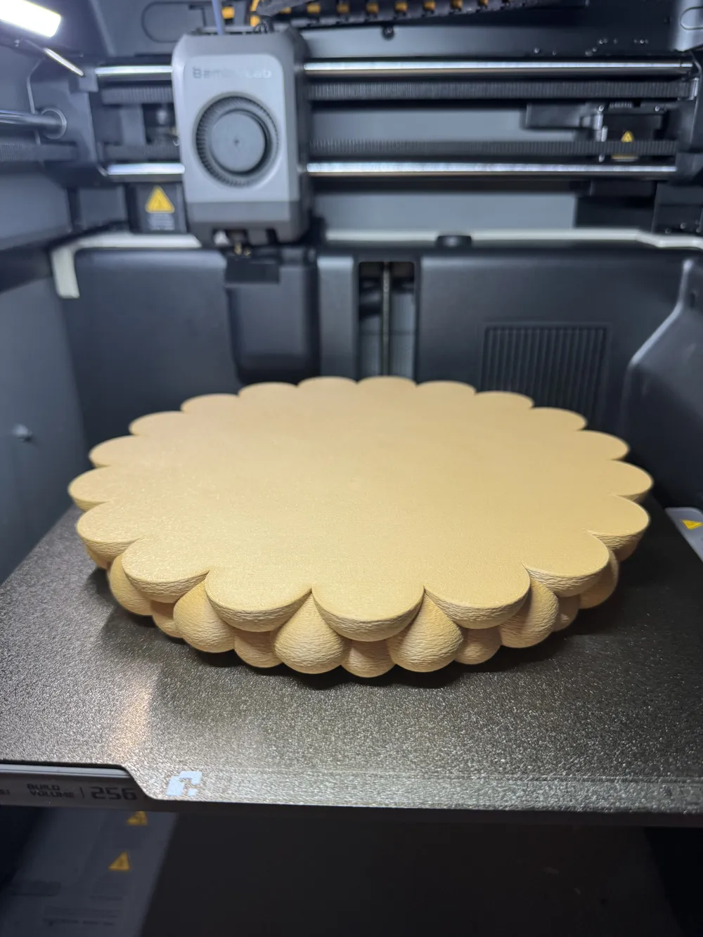 Bubble Tray - Free 3D Print Model - MakerWorld