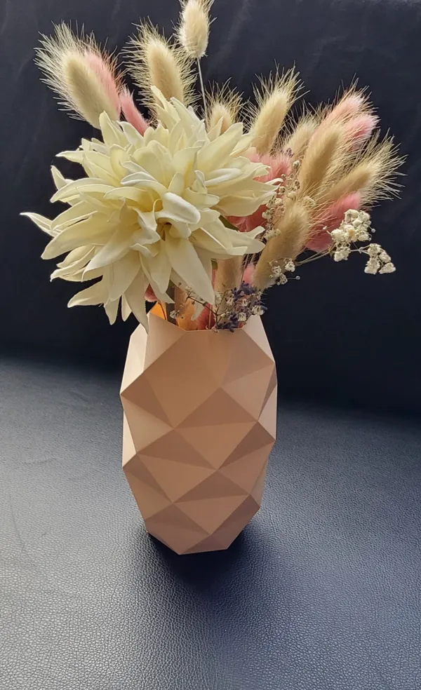 https://makerworld.bblmw.com/makerworld/model/US2a33c79557689c/design/2023-09-22_32ae3c8fe37a1.jpg