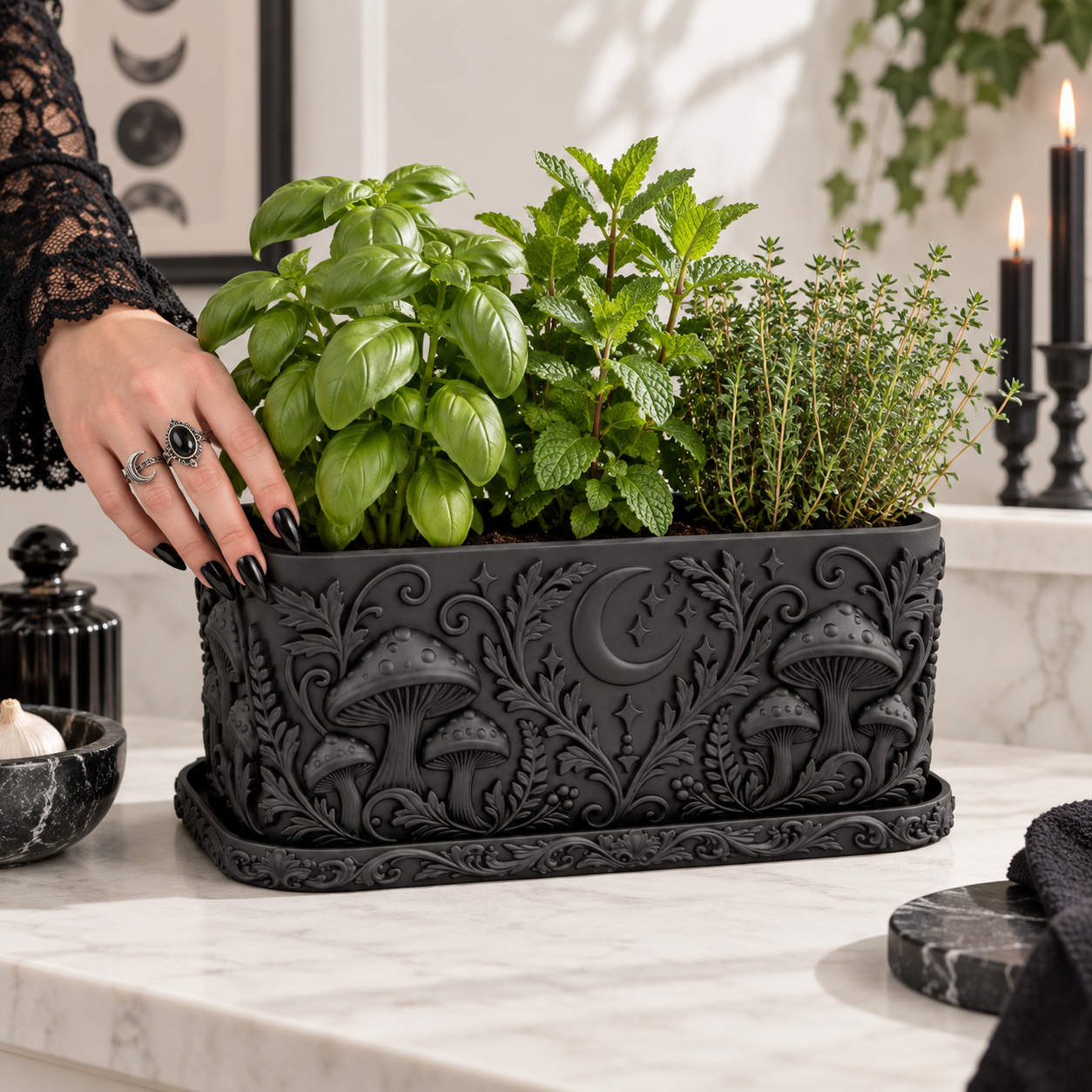 Goth Moon Mushroom Aromatic Herb Kitchen Planter - 1