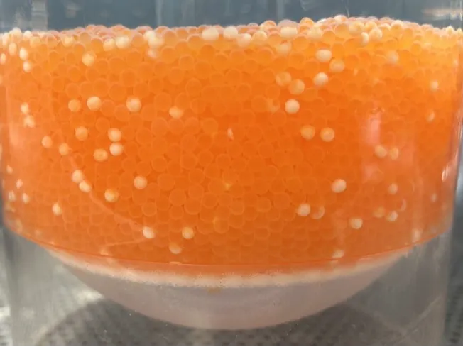 McDonald Egg Jar screen