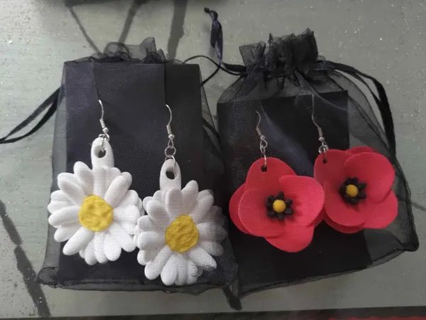 https://makerworld.bblmw.com/makerworld/model/US2a3c8d39897188/design/2025-09-22_96bd0e788cc008.jpg