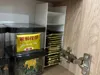 0.2mm layer, 1 walls, 5% infill