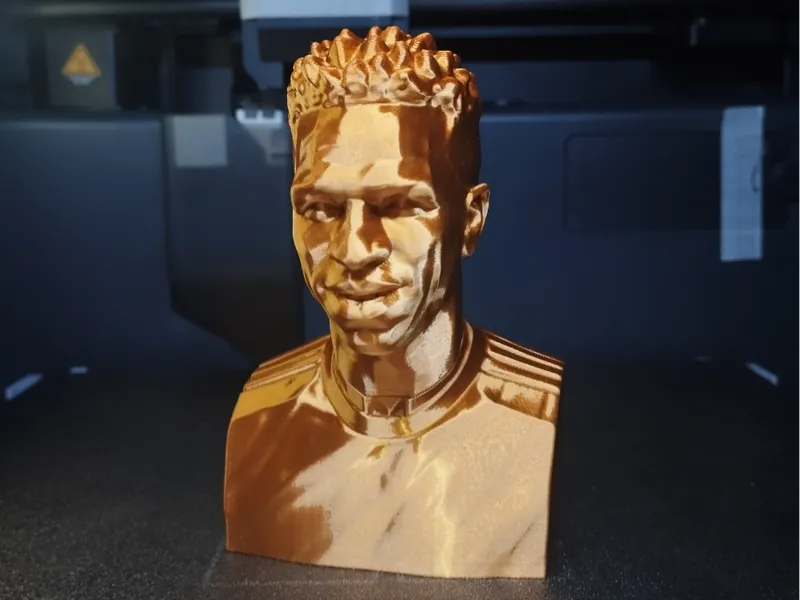 Bust Vinicius Modern Art - Low Poly 
