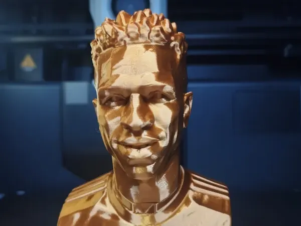 Bust Vinicius Modern Art - Low Poly