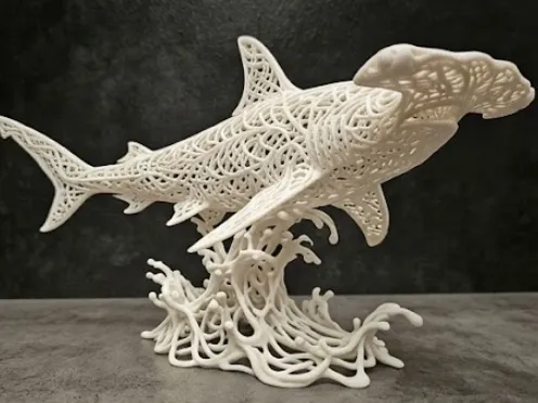 Requin marteau
