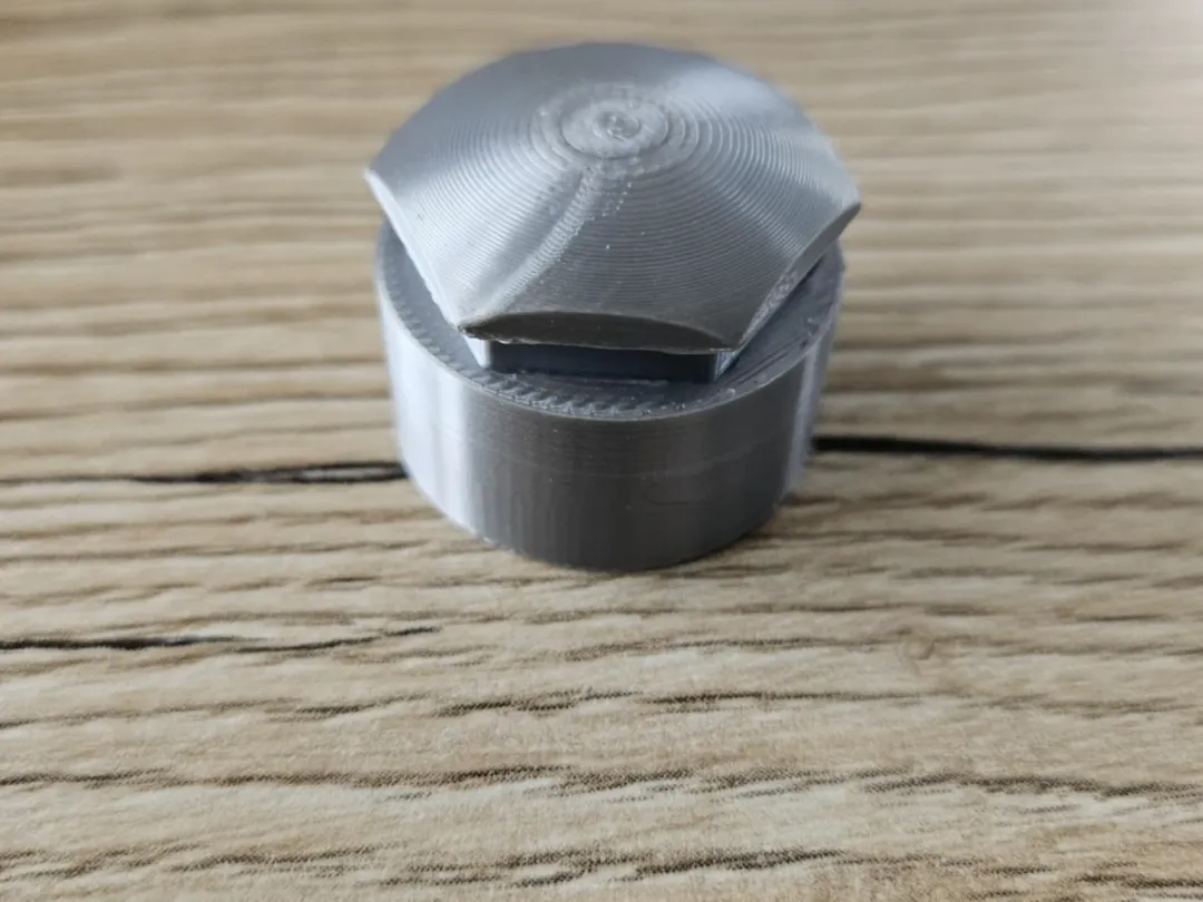 Cache écrou antivol compatible Audi