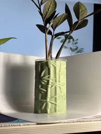 0.2mm layer, 3 walls, 0% infill