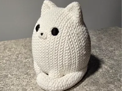 Chubby Cat in a Knitted Look