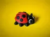 Ladybug, Multicolor