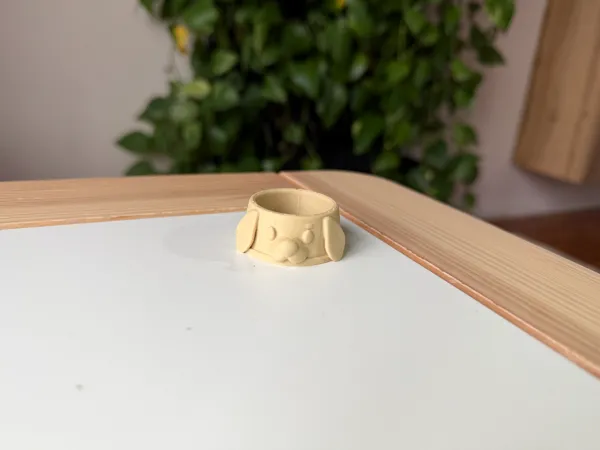 https://makerworld.bblmw.com/makerworld/model/US2a44a9eefc4701/design/2025-12-03_72c0797878a41.jpeg