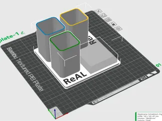 ReAL Organizer