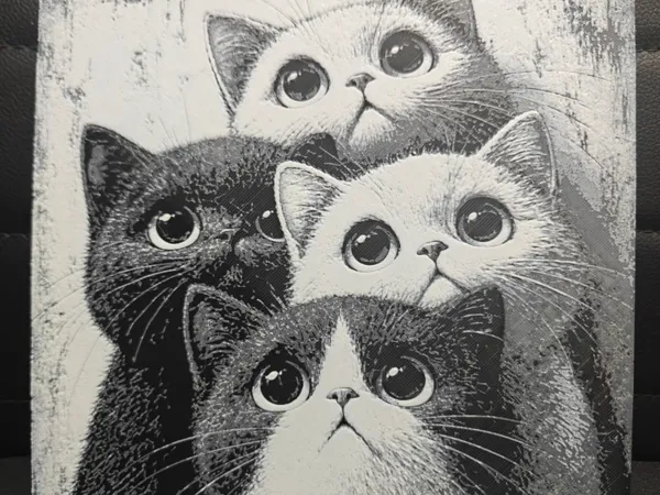https://makerworld.bblmw.com/makerworld/model/US2a5f916beaa5bf/design/d63d90d1f624d0cf.jpeg