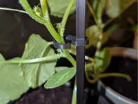 0.2mm layer, 2 walls, 50% infill