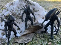 Figurine Xenomorph (Alien) — photo 2