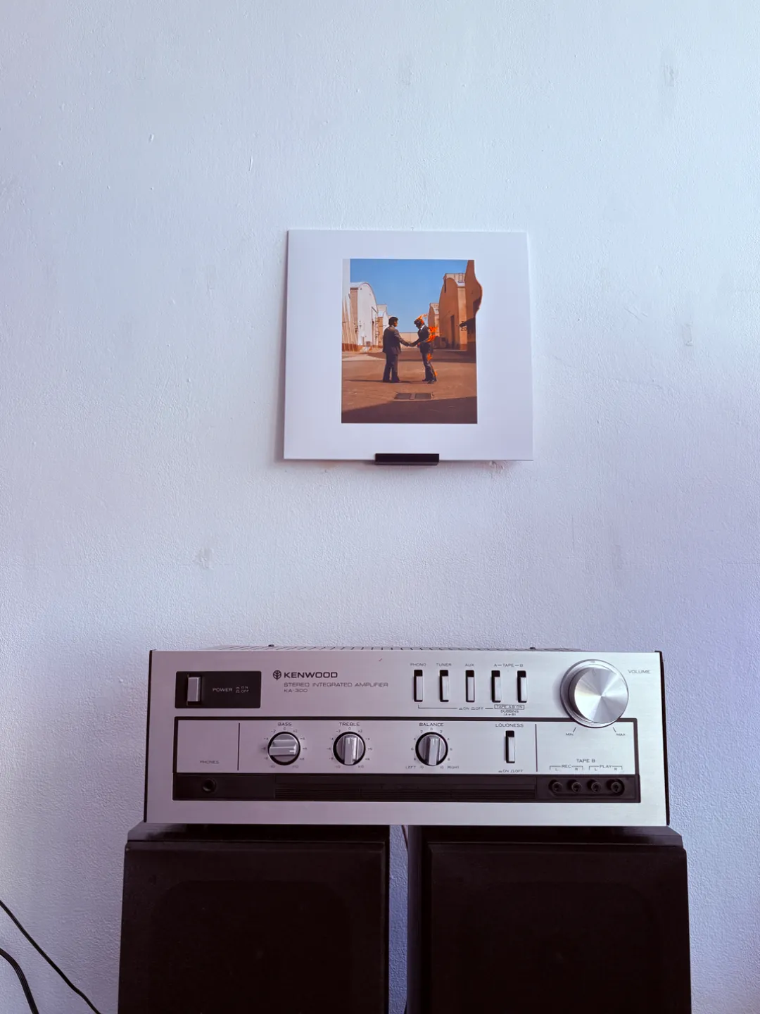Vinyl Record Wall Mount - Home - PLA - 3D printed product - фото 4