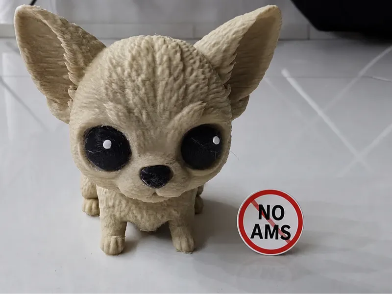 Cute Chihuahua – No AMS Required