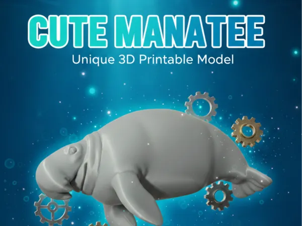 https://makerworld.bblmw.com/makerworld/model/US2a668908888b77/design/f4d8ceceb2fedca1.png