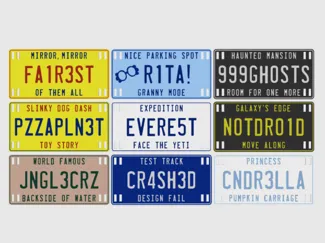 Electric Scooter License Plate