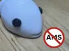 V2 - Non AMS