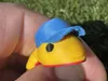 V2- Baseball Cap