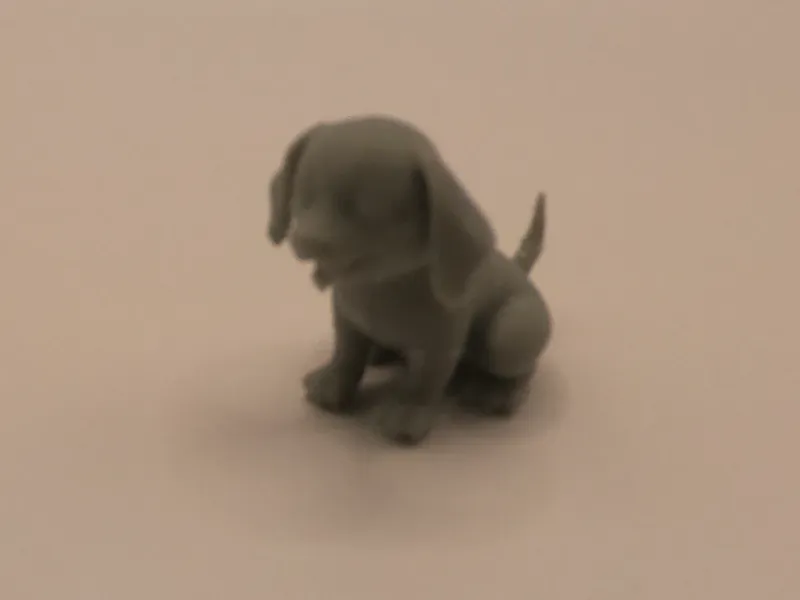 little sweet dog 