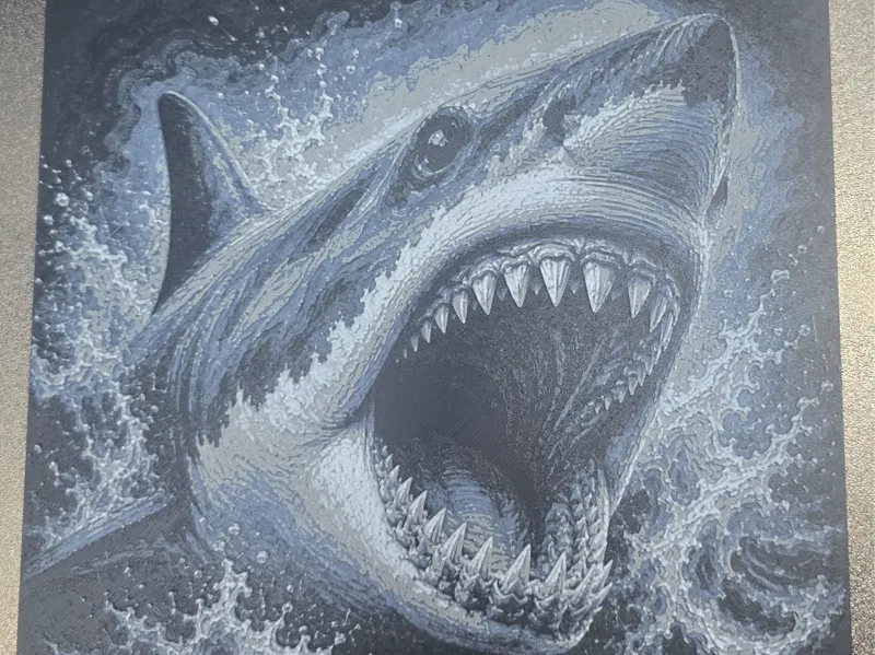 Shark