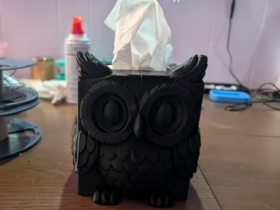 Owl Tissue Box
