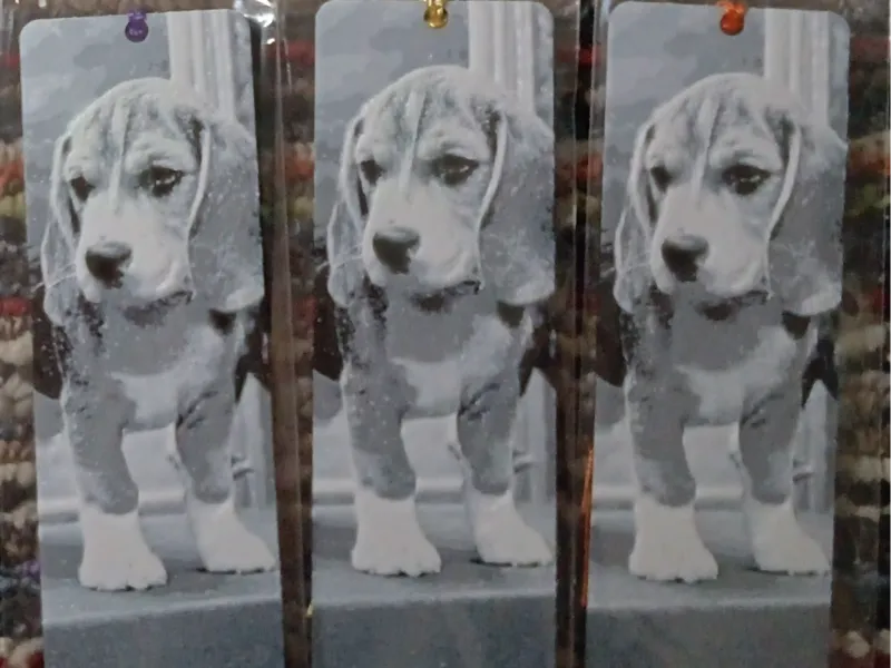 Bookmark Beagle Puppy