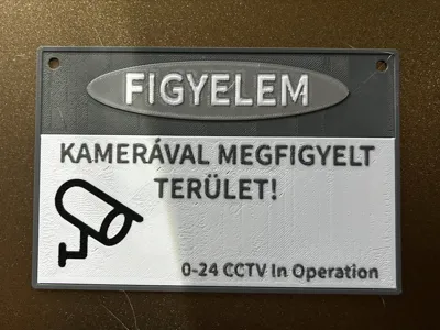 Camera-monitored area