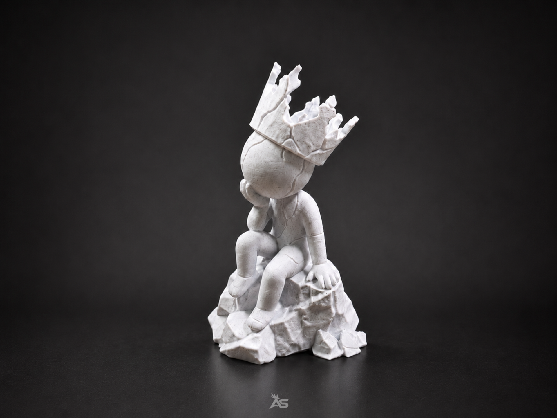 Crowned in Silence – The Silent King