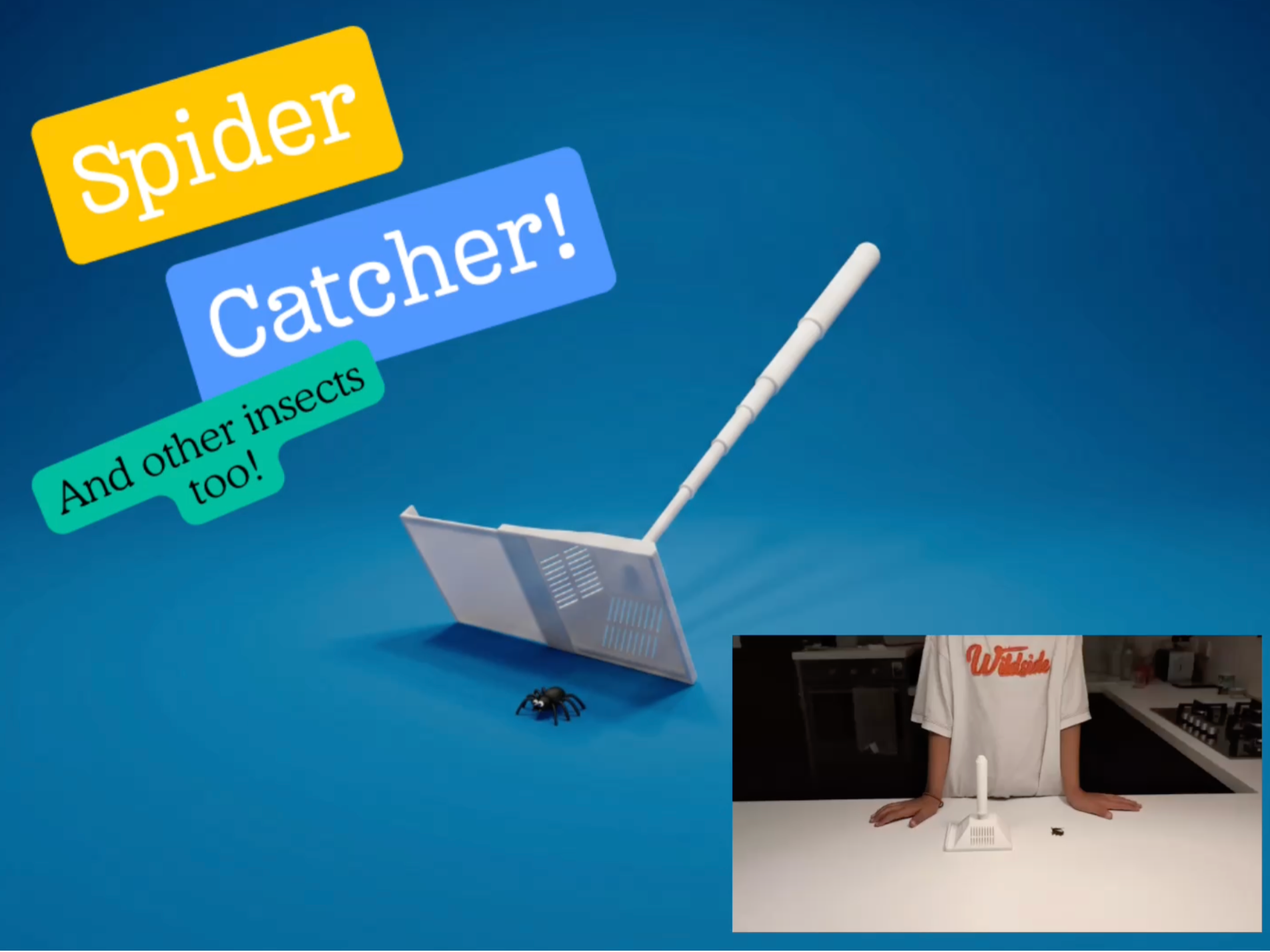Spider Catcher (and other insects too!) 3D model